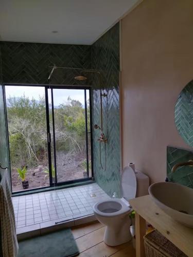 a bathroom with a shower and a toilet and a sink at FireFly Starry Woods Cabin in Keurboomstrand