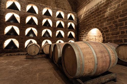 Fotografie z fotogalerie ubytování Chabiant Winery Hotel v destinaci Hacıhǝtǝmli