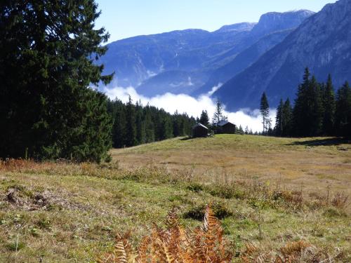 a field with a barn in the middle of a mountain at Haus Bergblick in Obertraun