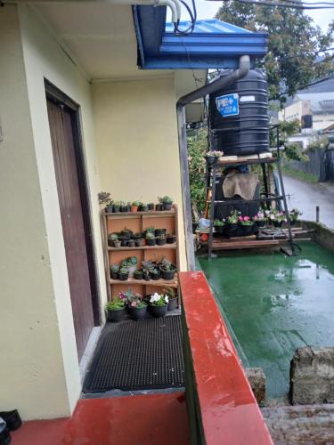 a porch with potted plants on a house at Dio Green House NUWRA ELIYA in Nuwara Eliya