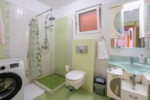 a bathroom with a toilet and a sink and a shower at Casa Rehner in Sighişoara