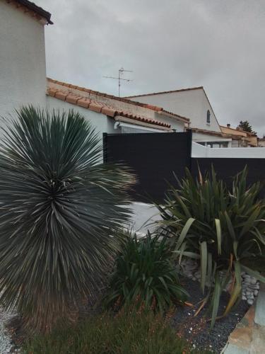 a group of plants in front of a house at Chambre d'hôtes in Lunel