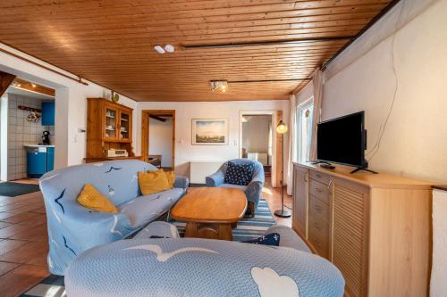a living room with blue chairs and a tv at Dat Haddehuus in Wangerland