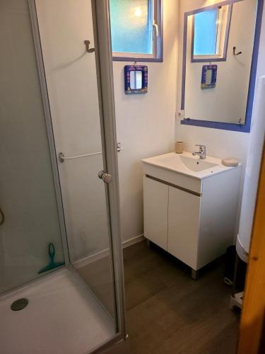 une salle de bain avec douche et lavabo dans l'établissement Les bambous, à Taller