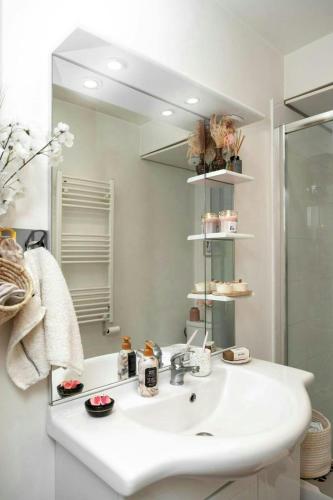 une salle de bain avec un lavabo blanc et un miroir dans l'établissement Cozy appartement Bords de Marne, à Saint-Maur-des-Fossés