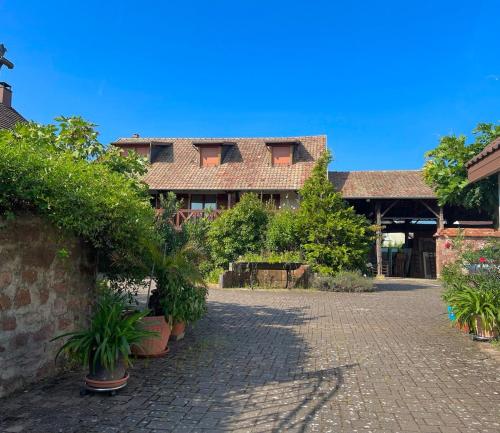 a house with a courtyard with potted plants in front of it at La Poulie - Apartment with Balcony and Free Privative Parking - Close to Colmar in Sainte-Croix-en-Plaine