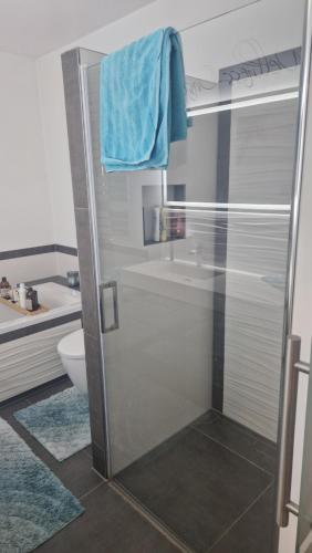 a bathroom with a shower with a blue towel at Ferienwohnung EDITH in Dobbrikow