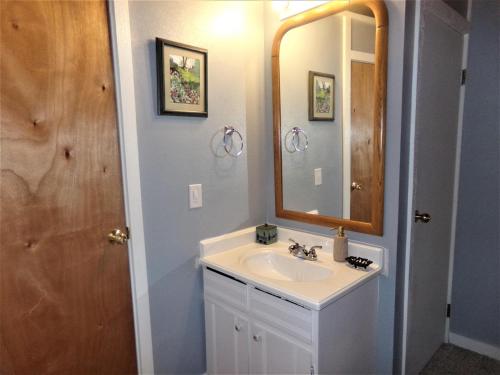 a bathroom with a sink and a mirror at Treehouse 2 bed 2 bath C THWC in Silverthorne