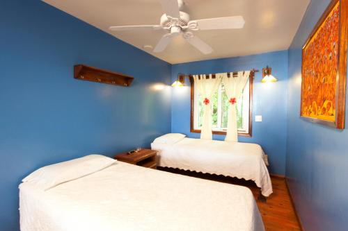 a blue bedroom with two beds and a ceiling fan at Bananarama Dive & Beach Resort in West Bay