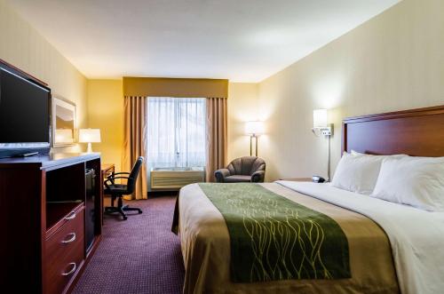 Ένα ή περισσότερα κρεβάτια σε δωμάτιο στο Comfort Inn