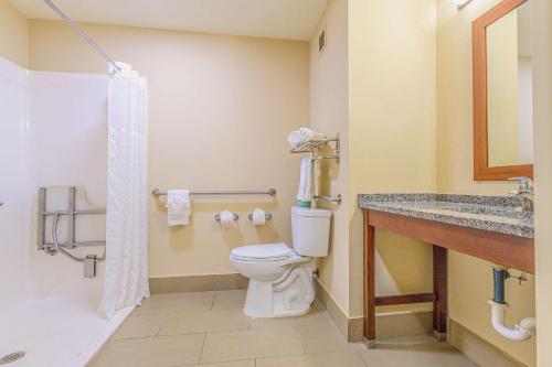 a bathroom with a toilet and a sink at Comfort Inn Ottawa in Ottawa