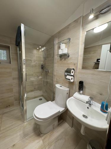 a bathroom with a toilet and a shower and a sink at Penzion U Rodinky in Bělá pod Pradědem