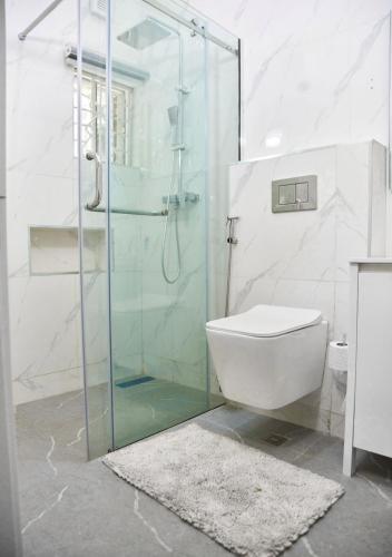 Un baño con ducha de cristal y un inodoro. en Fhemfel luxury apartments, en Rubuchi