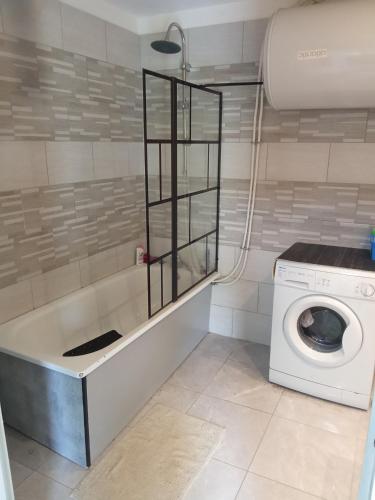 une buanderie avec un lave-linge. dans l'établissement Maison coquette en Camargue, à Gallargues-le-Montueux