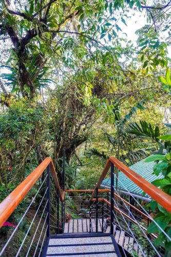 a staircase leading up to a forest with trees at Sueño Río Celeste Boutique B&B in Bijagua