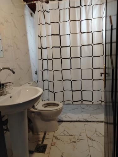 a bathroom with a toilet and a sink and a shower at Mena Palace Nile View in Luxor