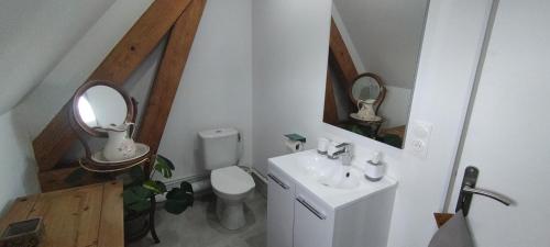 une salle de bain avec un lavabo, des toilettes et un miroir dans l'établissement Grand 2 pièces, super équipé, 2 pas du centre-ville 