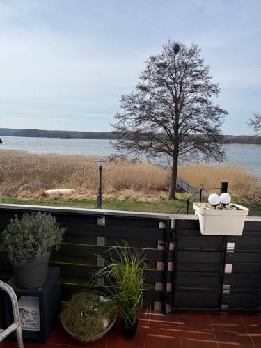a balcony with a basket of plants and a view of the water at Apartament nad jeziorem w Charzykowach in Charzykowy