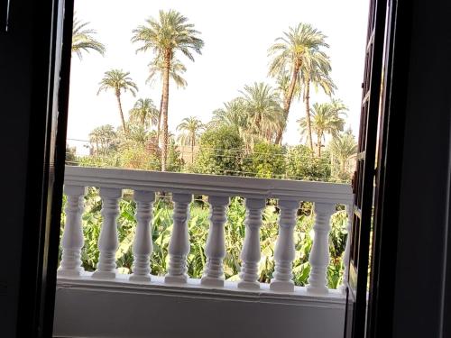 a window with a view of a balcony with palm trees at Mena Palace Nile View in Luxor