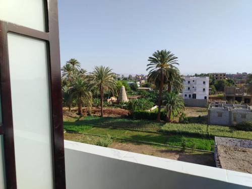 a window with a view of palm trees at Mena Palace Nile View in Luxor