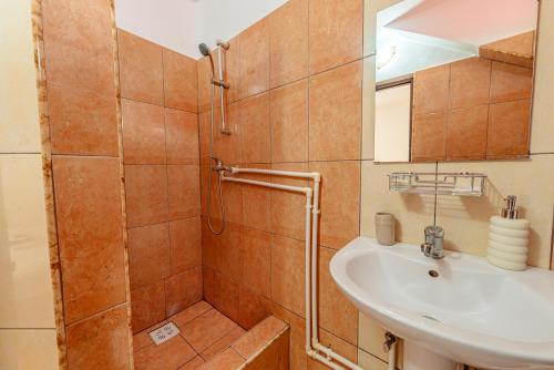 a bathroom with a sink and a shower at Pensiune Restaurant Căprioara Toplița in Topliţa
