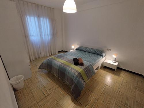 Rooms in shared apartment