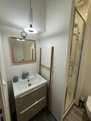 une salle de bain avec un lavabo et une douche dans l'établissement Petite Villa de impasse du Prieure, à Caen