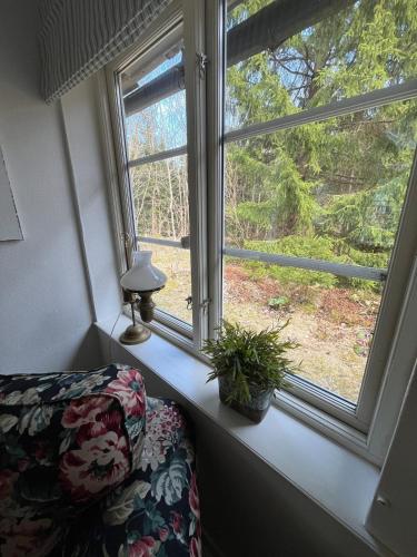 a window with a couch and a lamp and a plant at Hyggeligt hus in Lilla Stockhult