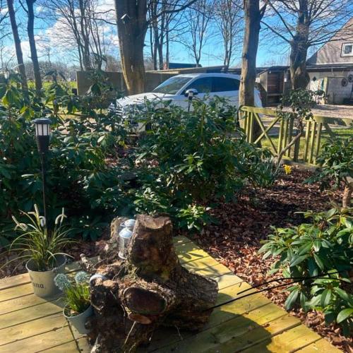 a garden with a tree stump in a yard at FF1001 Sommerhus ved Vesterhavet in Billum