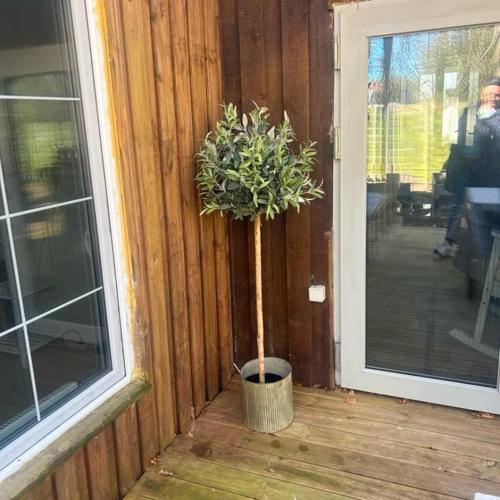 a small tree in a pot next to a door at FF1001 Sommerhus ved Vesterhavet in Billum