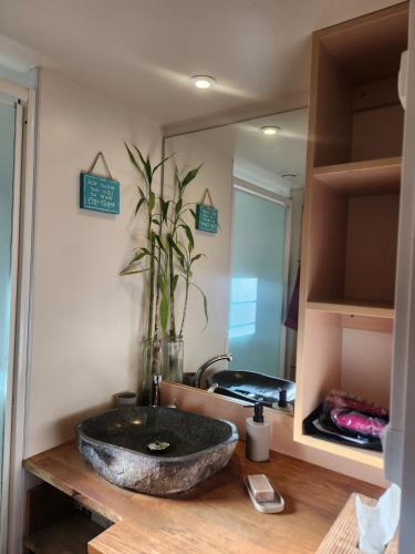 une salle de bain avec un lavabo en pierre et un miroir dans l'établissement Chalet tout confort et tout équipé, à La Teste-de-Buch