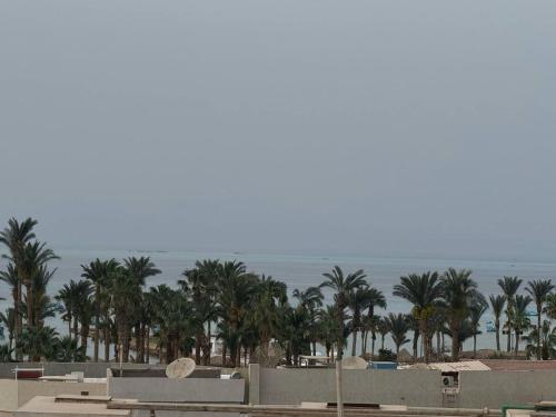 a view of a beach with palm trees and the ocean at Hurghada Sea View Apartment in Hurghada