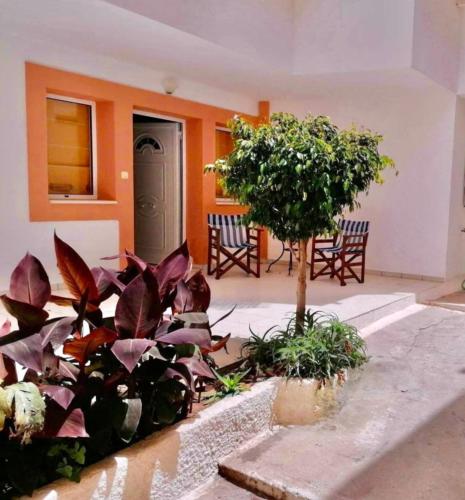 a room with a bunch of plants and a tree at Seashell Holiday Studios in Ermioni