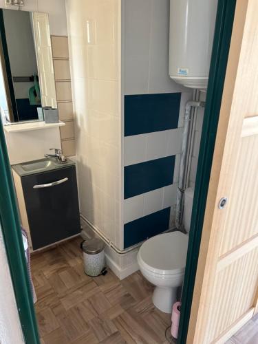 un piccolo bagno con un water e un lavandino di Appart Gwen a Gruissan