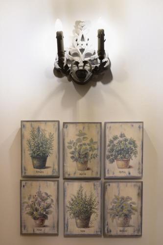 a group of nine plants on a wall with a light at Fjore di Lecce, camere & caffè in Lecce