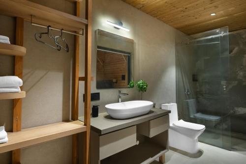 a bathroom with a sink and a shower and a toilet at Stayscape Smultronstalle 6BHK Igatpuri in Zarvar