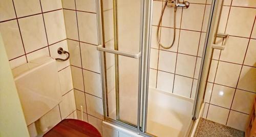 Apartment Haus Steigerbauer Top 29