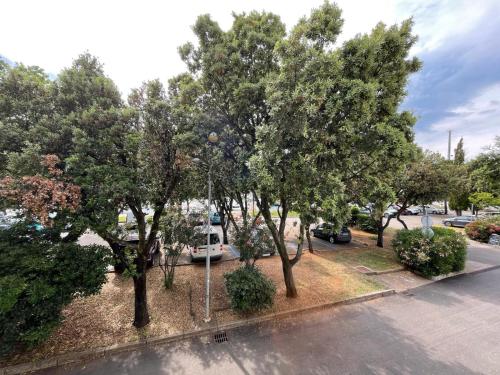 Fotografie z fotogalerie ubytování Apartment Fleger Obala v destinaci Punat