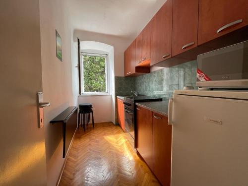 A kitchen or kitchenette at Apartment Fleger Obala