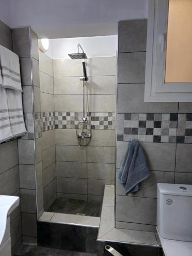 a bathroom with a shower with a toilet and a sink at Dimitra's house in Glóssa