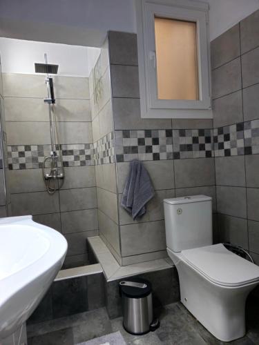 a bathroom with a toilet and a sink at Dimitra's house in Glóssa
