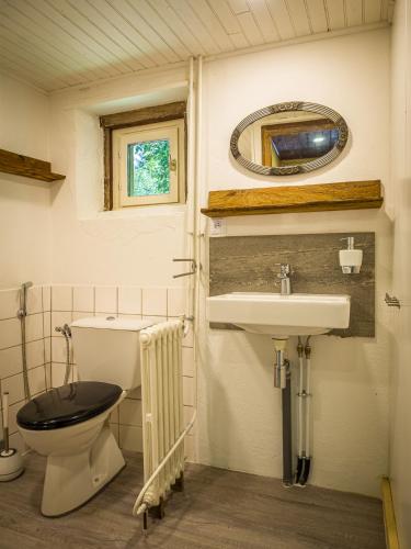 une salle de bain avec toilettes, lavabo et miroir dans l'établissement Lovely rural and quiet farmhouse with natural swimming lake, à Parsac