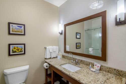 a bathroom with a sink and a toilet and a mirror at Comfort Inn & Suites Shawnee - Kansas City in Shawnee