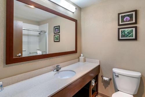 a bathroom with a sink and a mirror at Comfort Inn & Suites Junction City - near Fort Riley in Junction City