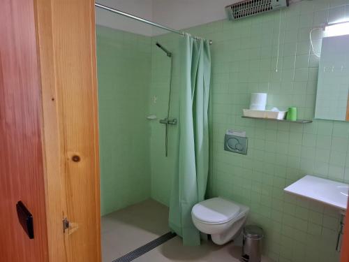 a bathroom with a shower with a toilet and a sink at House 1 in Fafe