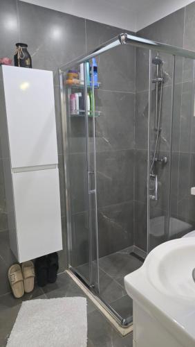 a shower with a glass door in a bathroom at Tirana Garden Rezidence Turdiu in Tirana