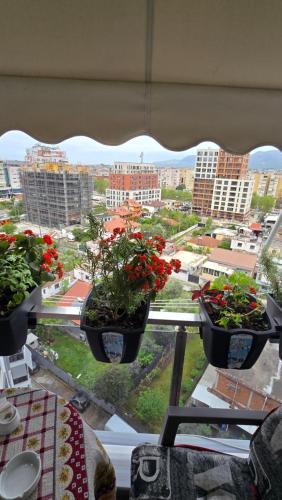 three potted plants on a window sill in a city at Tirana Garden Rezidence Turdiu in Tirana