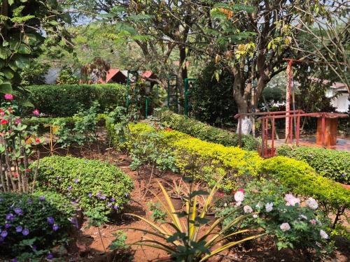a garden with lots of plants and flowers at Camp Temgarh in Lavasa