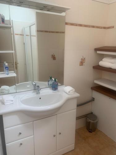 une salle de bain avec un lavabo blanc et un miroir dans l'établissement Chambre d'hôte chez Kahi, à Brunoy