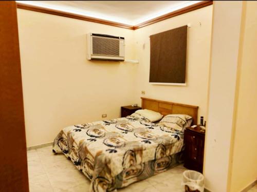 شقه فندقيه بمدخل خاص